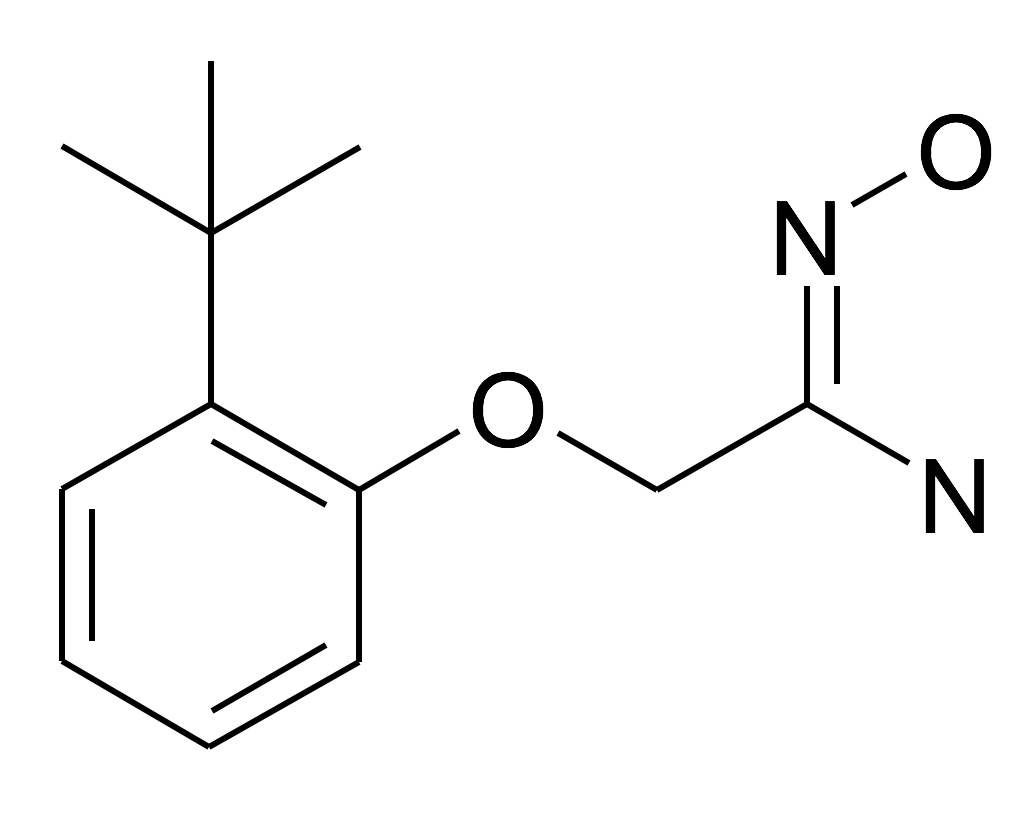 2-(2-tert-Butyl-phenoxy)-N-hydroxy-acetamidine