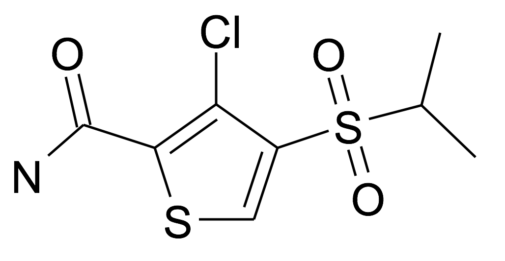 3-Chloro-4-(propane-2-sulfonyl)-thiophene-2-carboxylic acid amide