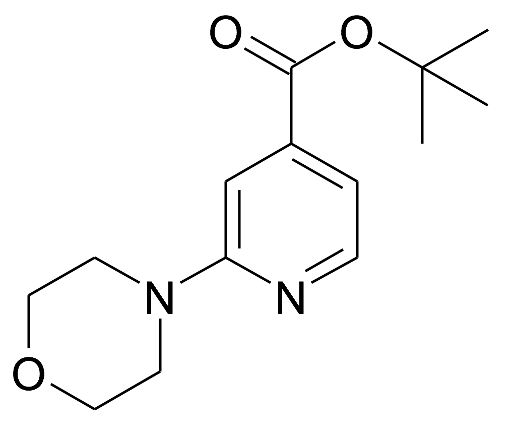 2-Morpholin-4-yl-isonicotinic acid tert-butyl ester