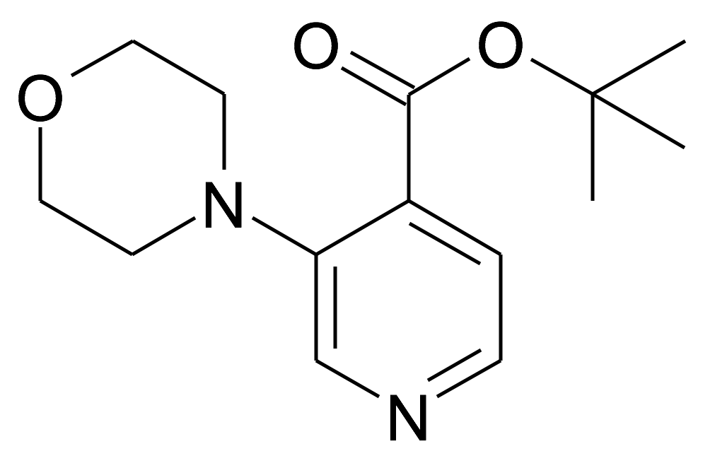 3-Morpholin-4-yl-isonicotinic acid tert-butyl ester