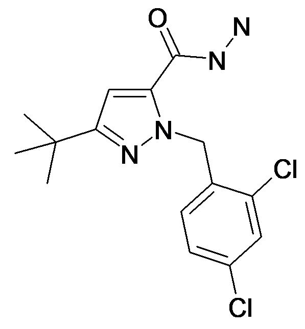 306937-07-5 | MFCD01571371 | 5-tert-Butyl-2-(2,4-dichloro-benzyl)-2H-pyrazole-3-carboxylic acid hydrazide | acints