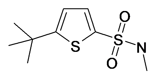 MFCD29483047 | 5-tert-Butyl-thiophene-2-sulfonic acid methylamide | acints