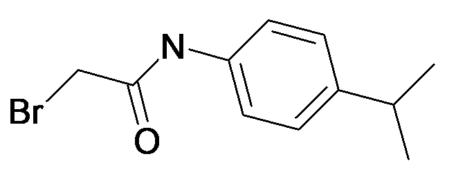 2-Bromo-N-(4-isopropyl-phenyl)-acetamide