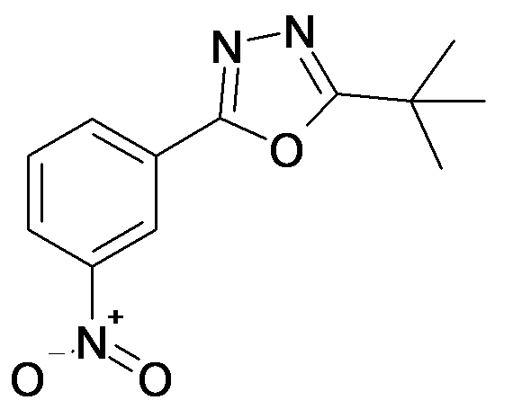 75655-58-2 | MFCD00106887 | 2-tert-Butyl-5-(3-nitro-phenyl)-[1,3,4]oxadiazole | acints